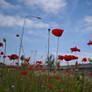 Img 20260603 101937
