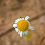 Img 20260709 090808