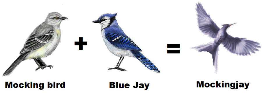 The Bird Mockingjay Making By CeeCeeXD On DeviantArt the-bird-mockingjay-making-by-ceeceexd-on-deviantart