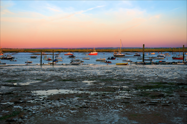 Dawn Estuary Vista