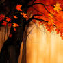 Solitary Silhouette Walking Through Golden Autumn