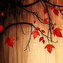 Solitary Silhouette Walking Through Golden Autumn