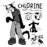 CHLORINE REF '20