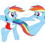 Dashie