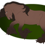 BSSR Carmel Dreams