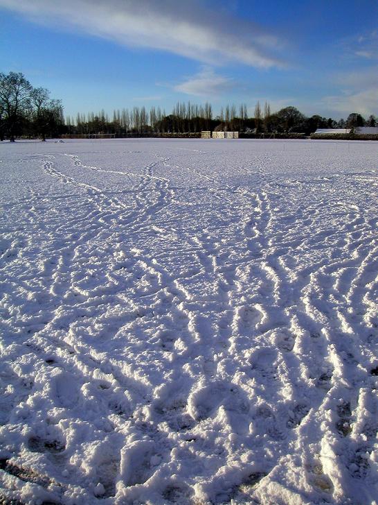 snow trails