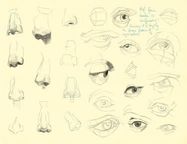 Hampton p.69-71: Nose + Eye Studies