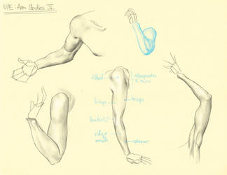 Hampton p.129-159: U/E - Arm Studies V