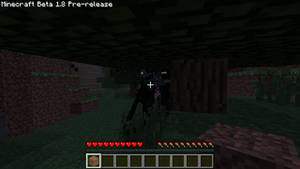 Enderman is NOT a lie...