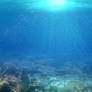 deep blue sea 3