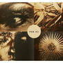 psd 43 : apollo