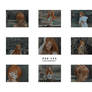 calling psd preview
