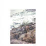 Vague sur le mole de Sete