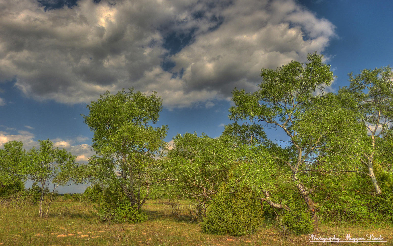 Hungarian landscapes. HDR-picture.(National Park)