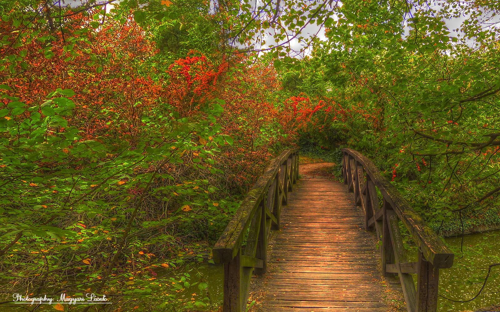 Hungarian landscapes.(Auutum of Tata) HDR-picture