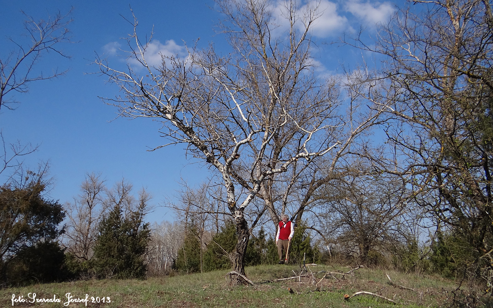 Hungary landscapes. (Me. Photo Tour.)