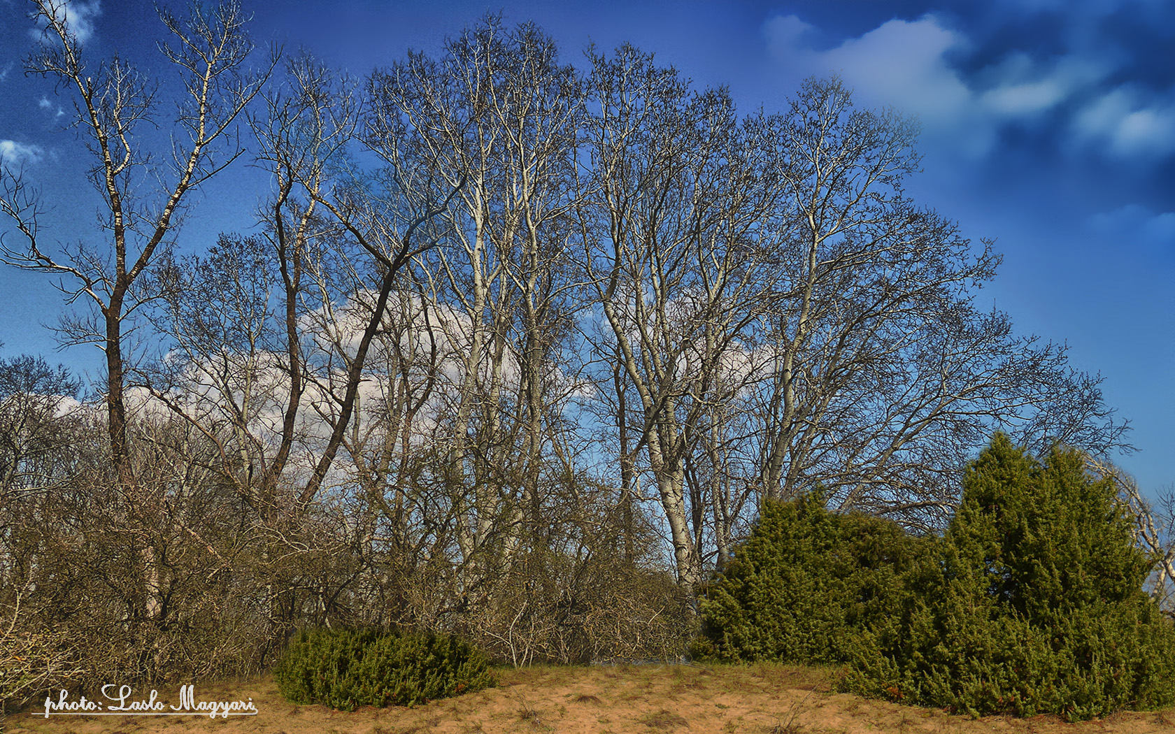 Hungary landscapes. The National Park. HDR.