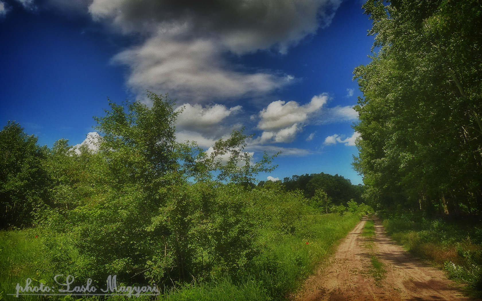 Hungarian landscapes. HDR-picture (soft)