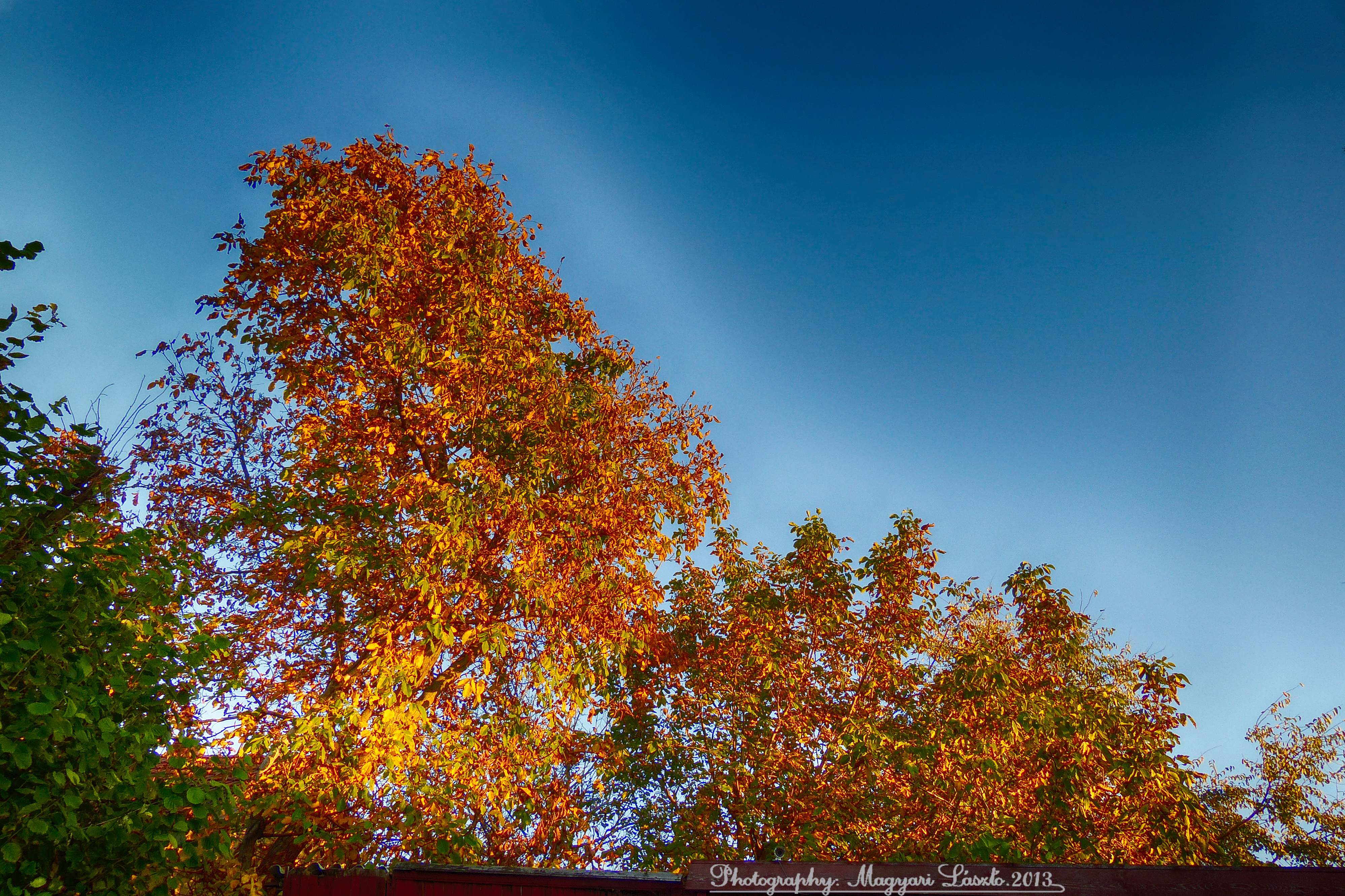 The colors of autumn. Hungary.2013. HDR.