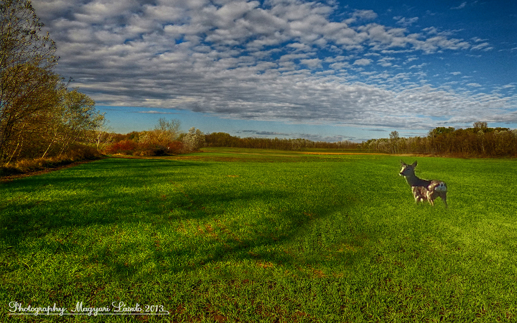 Hungarian landscapes. HDR-picture