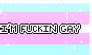 Im Fucking Gay (Pastel Trans Vers.)