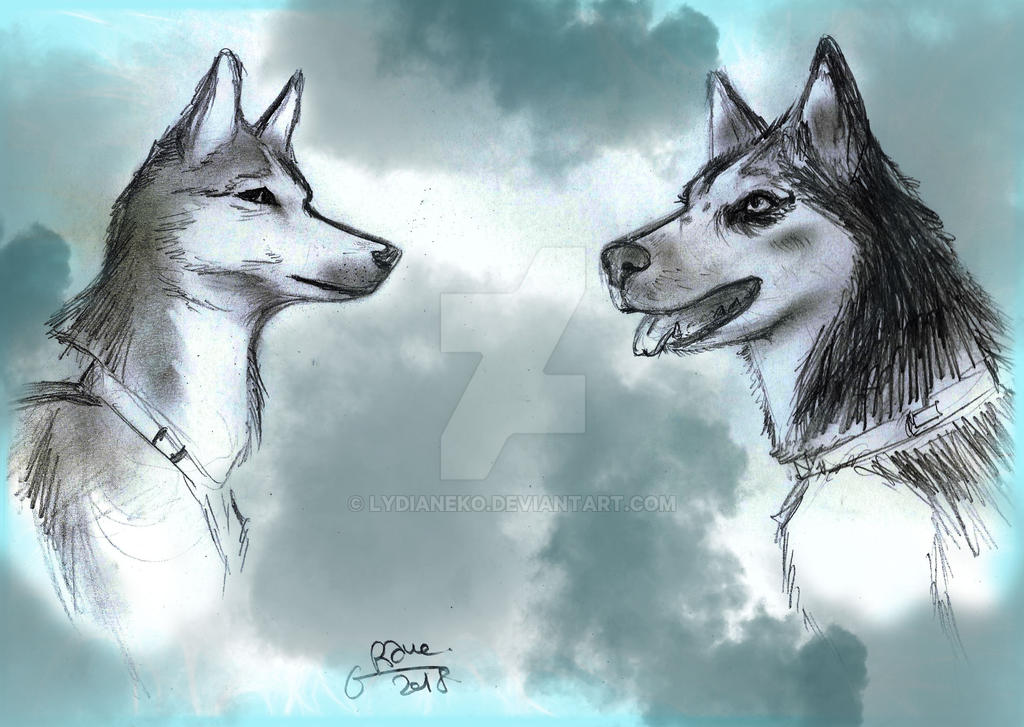Husky Deviantart husky by lydianeko on DeviantArt