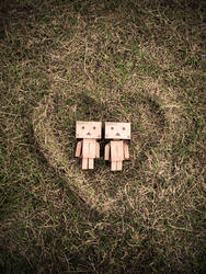 Danbo in Love