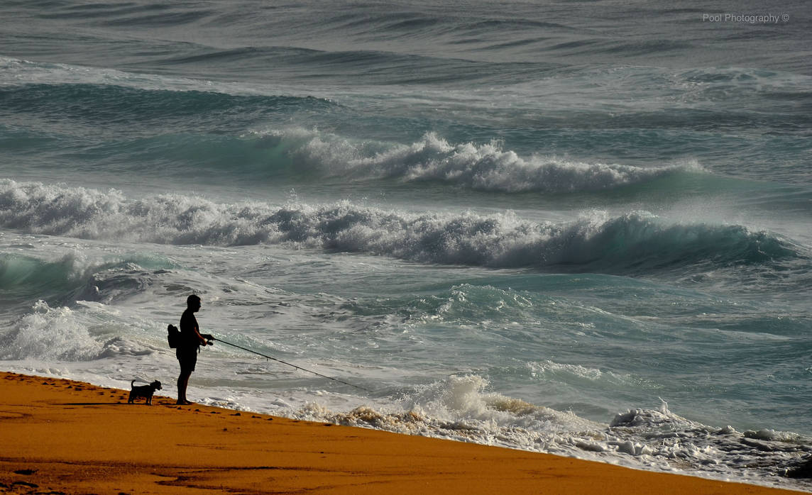 Spindog by cpool on DeviantArt