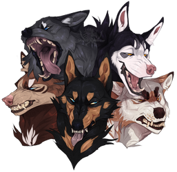 .:Comm 2/3:. Wolf gang