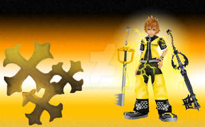 Master Form Roxas wallpaper