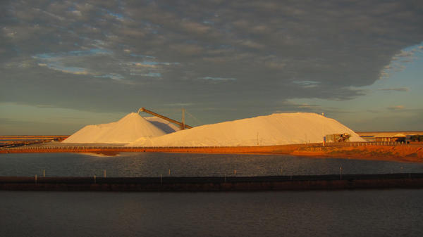 Salt Harvest