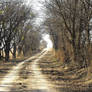 Long Forgotten Dirt Road