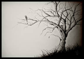 The Last Leaf on a Dying Tree