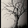 The Last Leaf Closeup