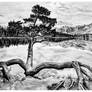 The Guardian of Lac Beauvert