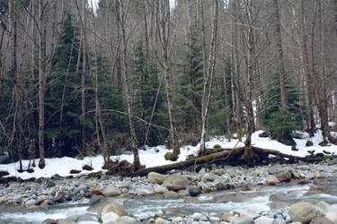 Canadian Creek II