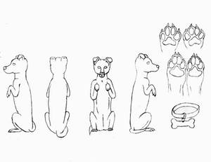 Dog Ref scaled