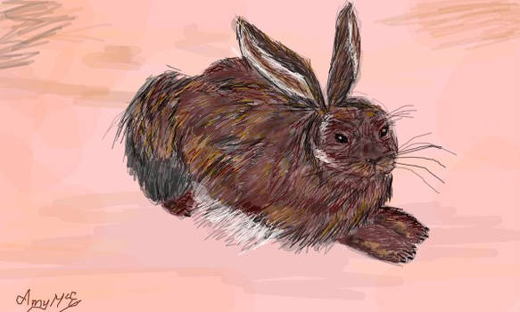 My version of Albrecht Durer's Hare