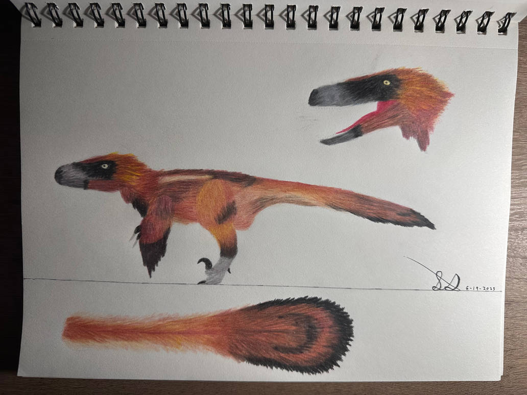 BotM Pyroraptor O. Coloring Sketch by Elitroraptor132 on DeviantArt