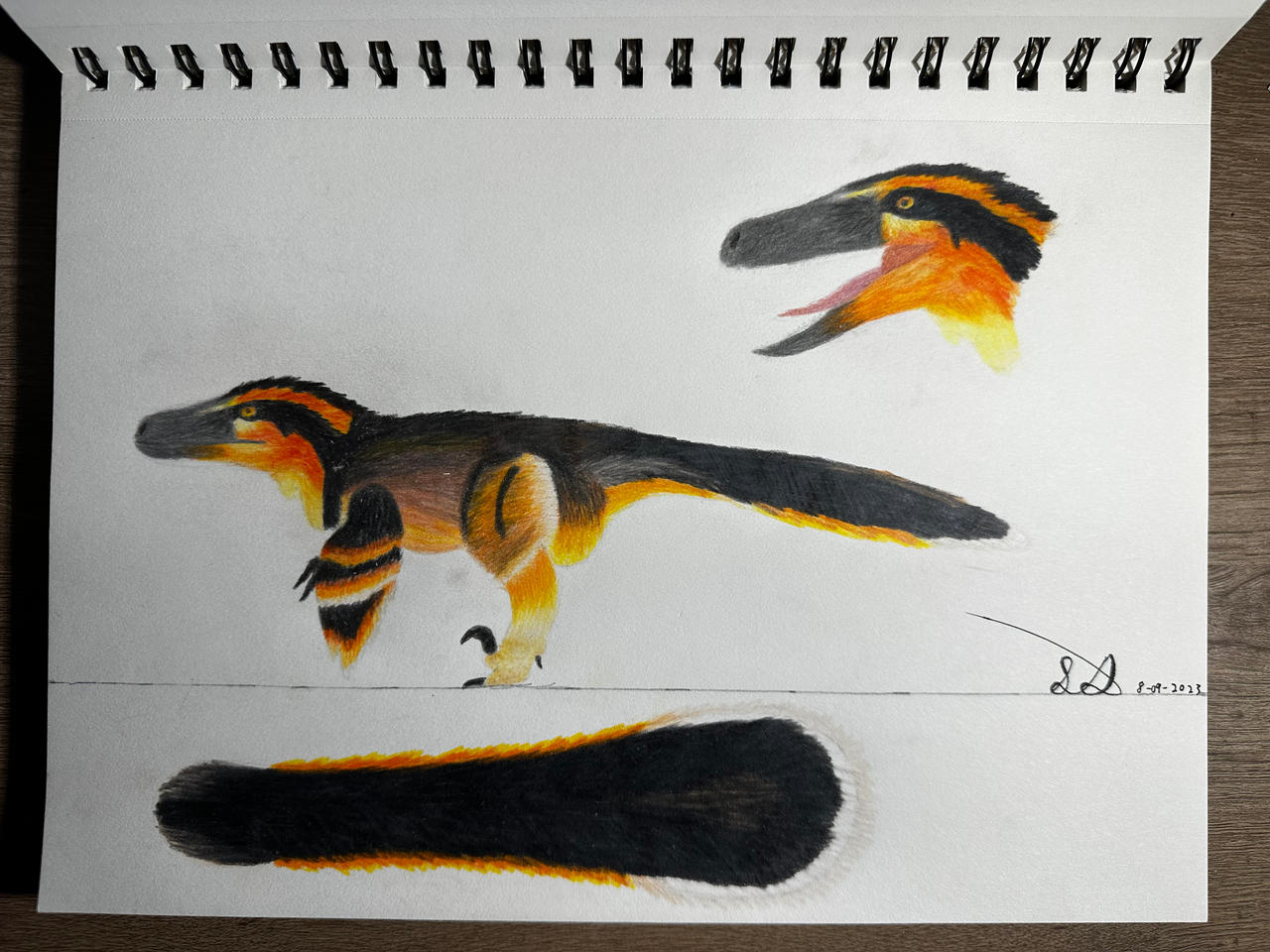 BotM Pyroraptor O. (FC) Coloring Sketch by Elitroraptor132 on DeviantArt