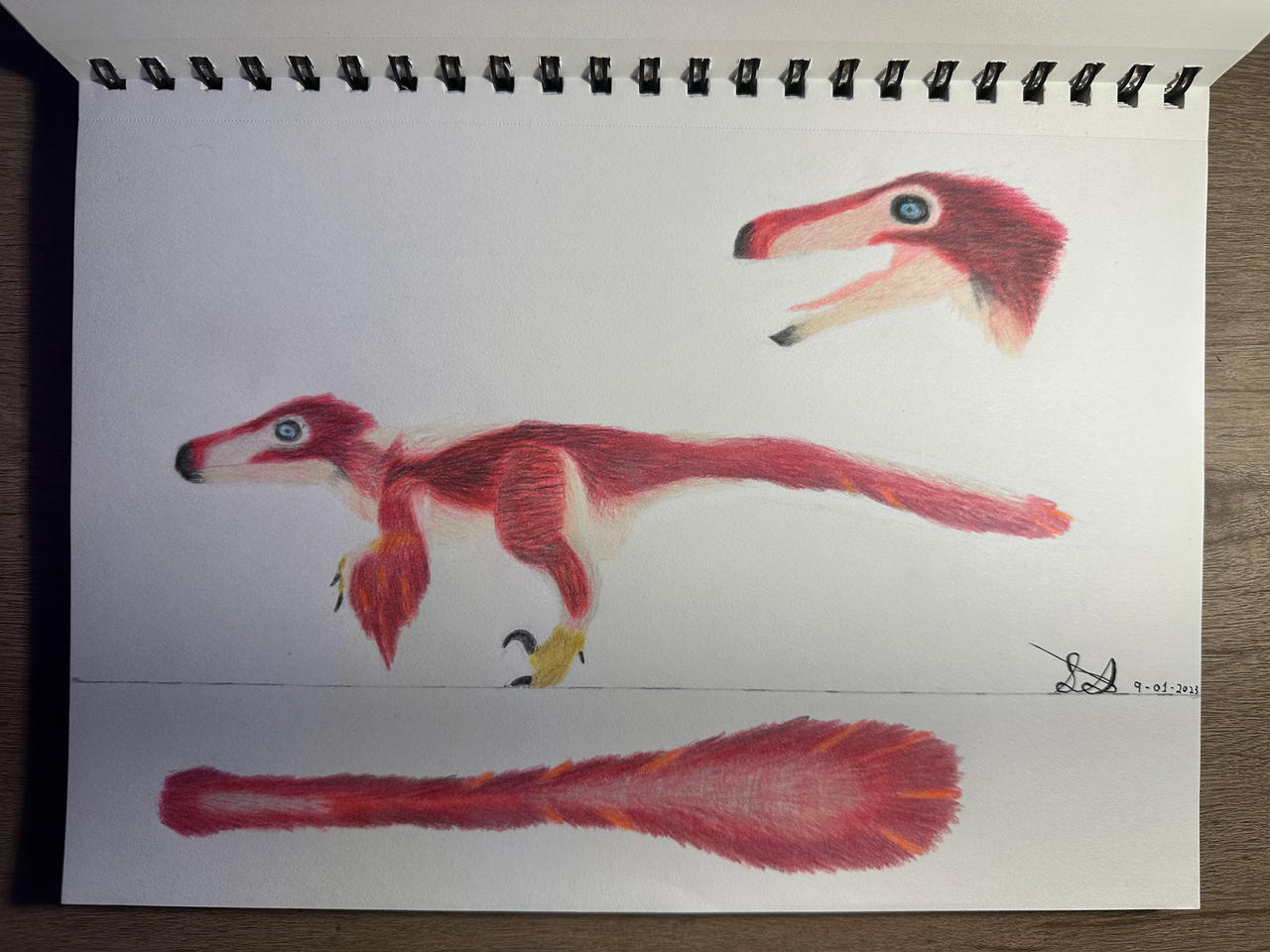 Blue Botm Raptor BotM Velociraptor O. Coloring Sketch by Elitroraptor132 on DeviantArt