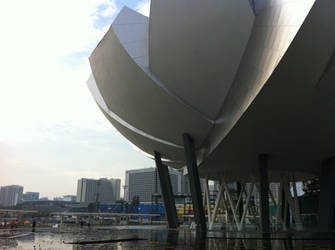 ArtScience Museum ~ singapore ~ by the water
