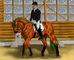 Scenic Mountains Stables Winter Show by KifuSlick