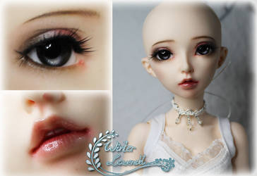 Fairyland Celine - FaceUp by mira-Ri