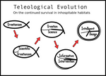 Teleological Evolution