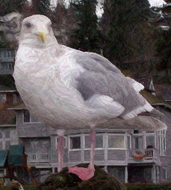 Seagull by TheVaud on DeviantArt