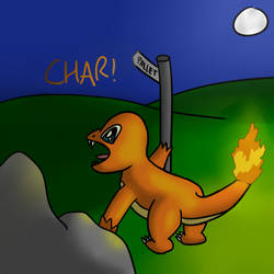 Charmander Lost