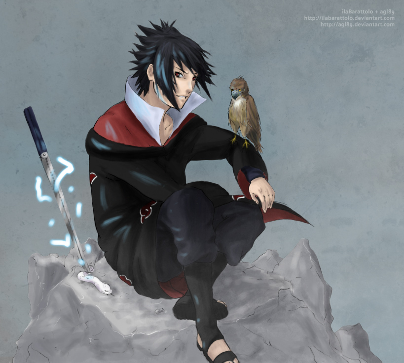 Sasuke and the Hawk