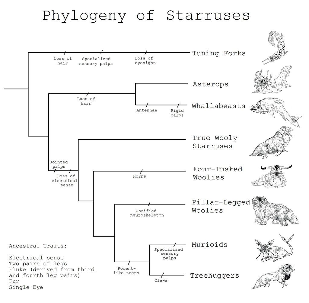 Phylogeny of Starruses