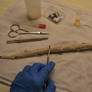 Specimen 14-1